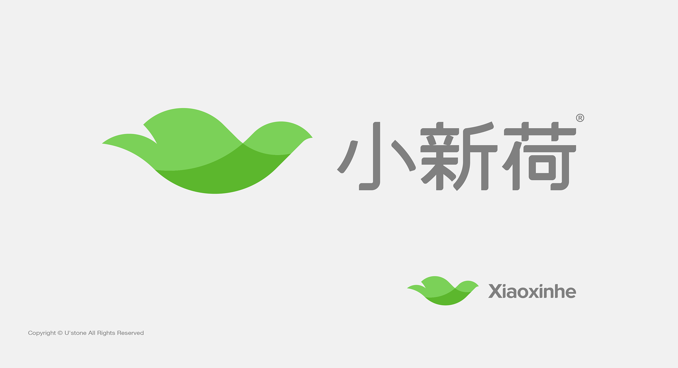 hbgs_piaoye_com/2025/小新菏横版-07.png