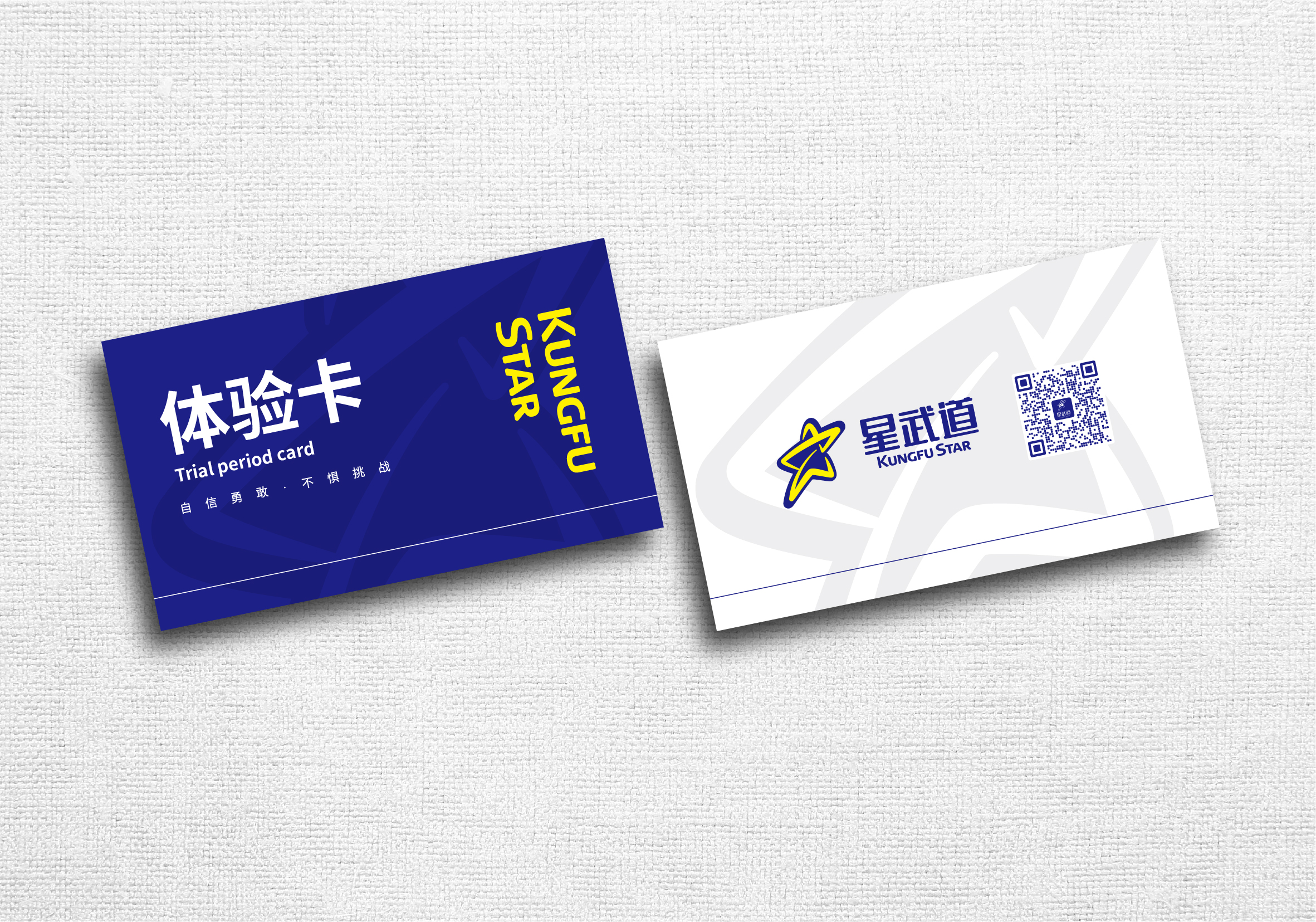 hbgs_piaoye_com/2025/星武道_10.jpg