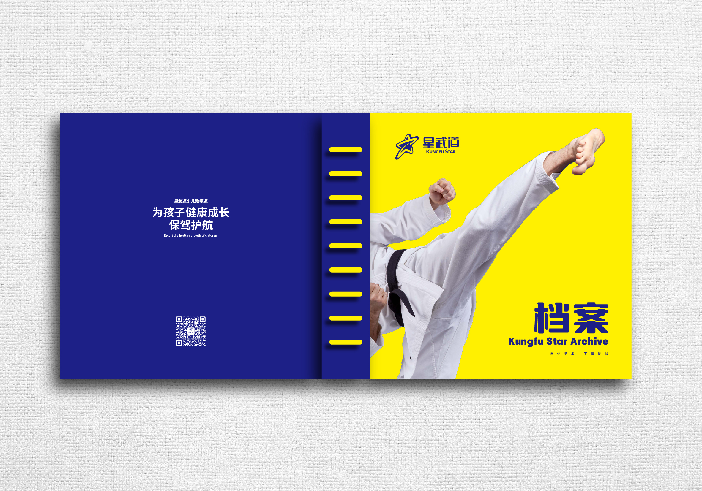 hbgs_piaoye_com/2025/星武道_11.jpg