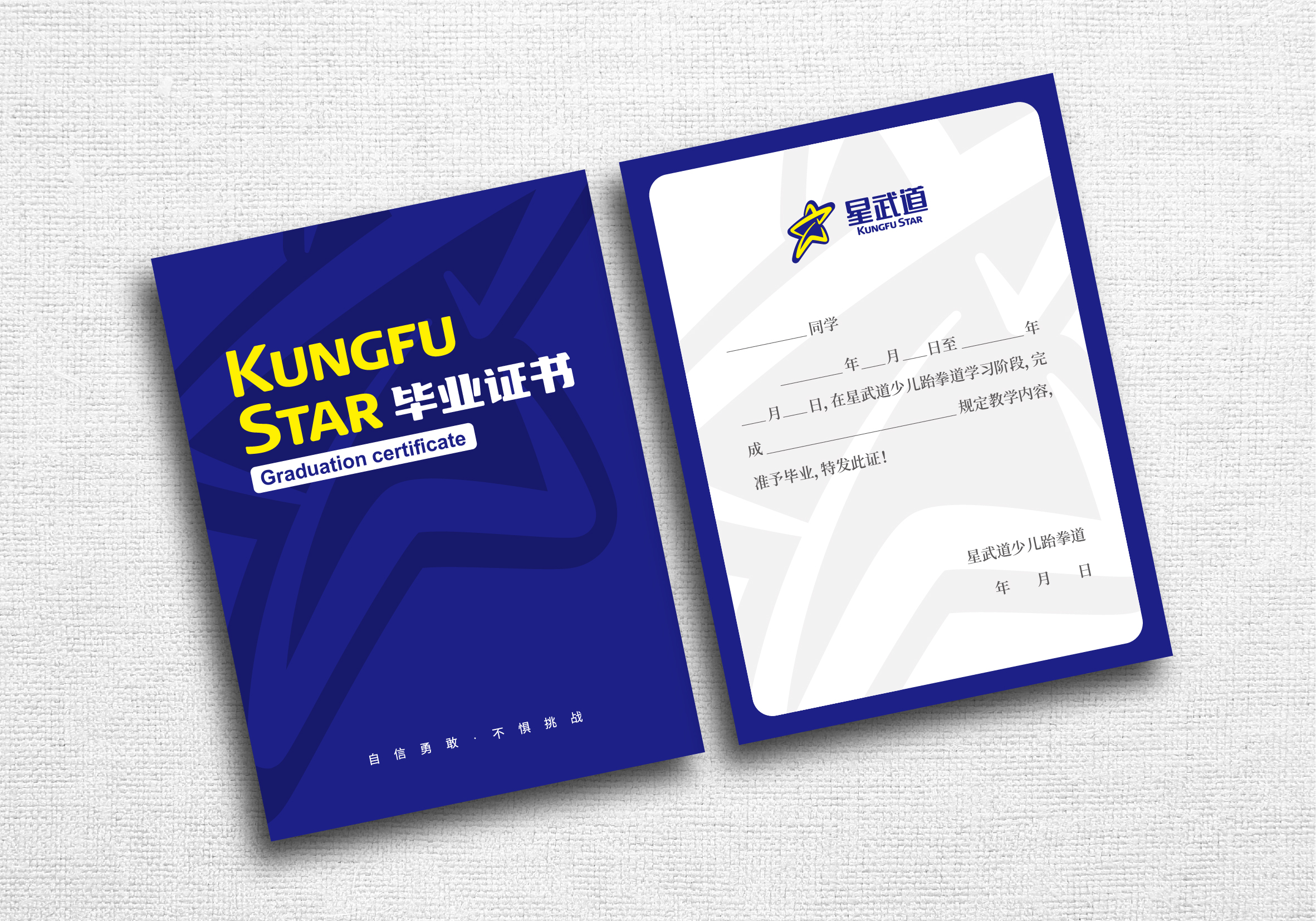 hbgs_piaoye_com/2025/星武道_14.jpg
